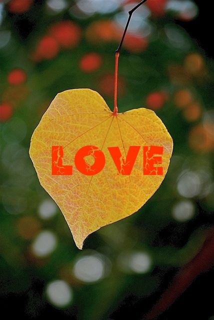 LOVE