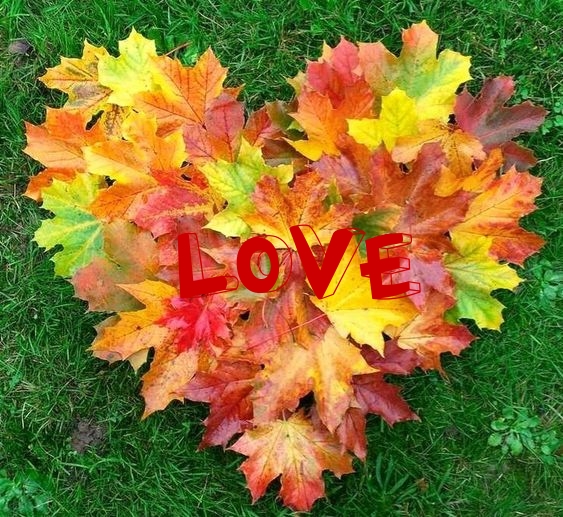 LOVE