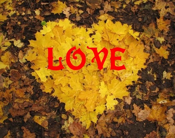 LOVE