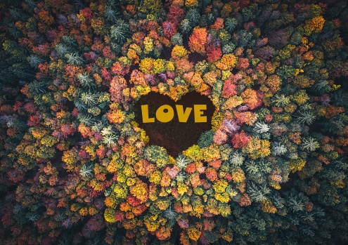 LOVE