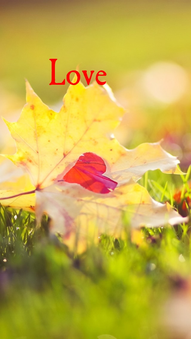Love