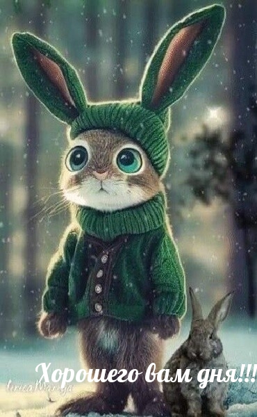 Хорошего вам дня!