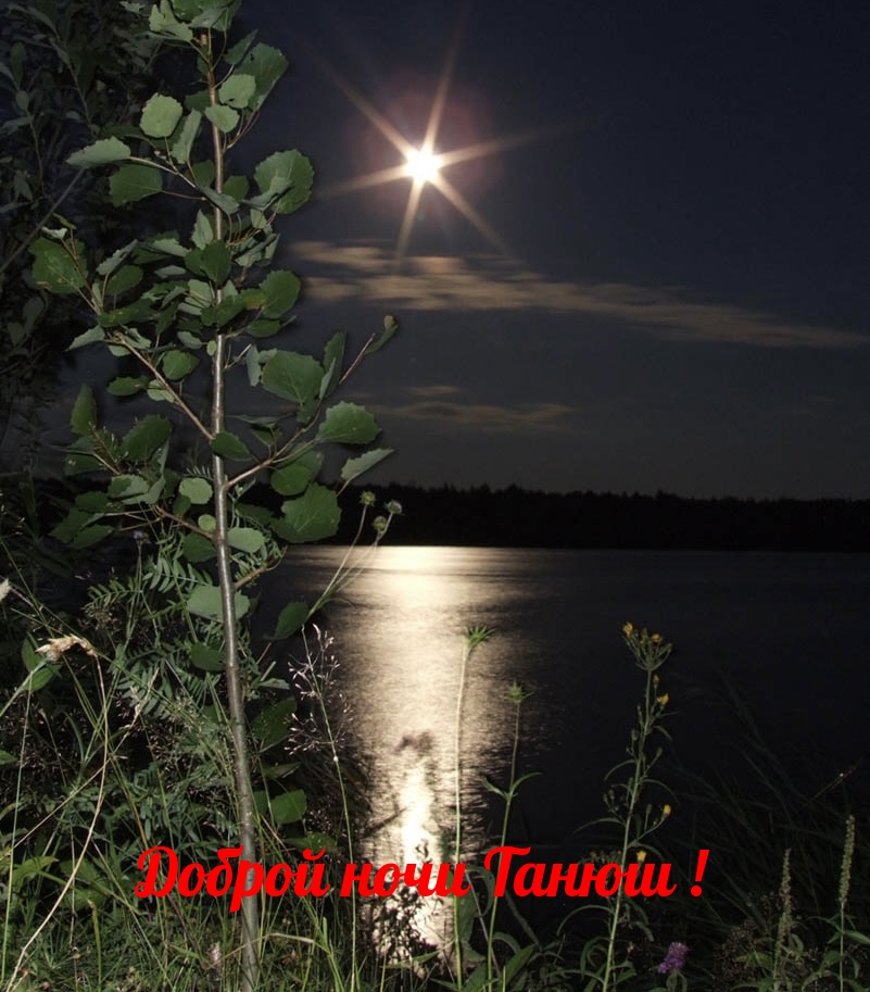 Доброй ночи Танюш!