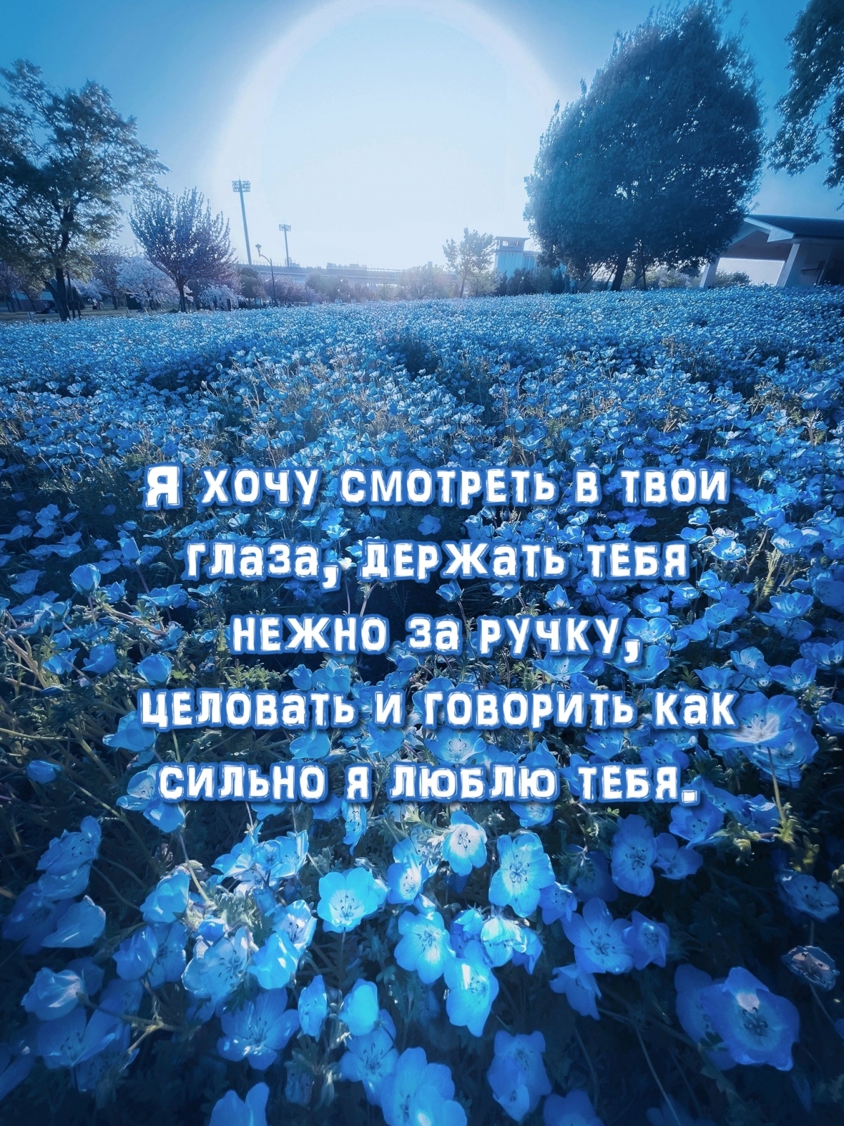 Я хочу смотреть в твои глаза, держать тебя нежно за ручку