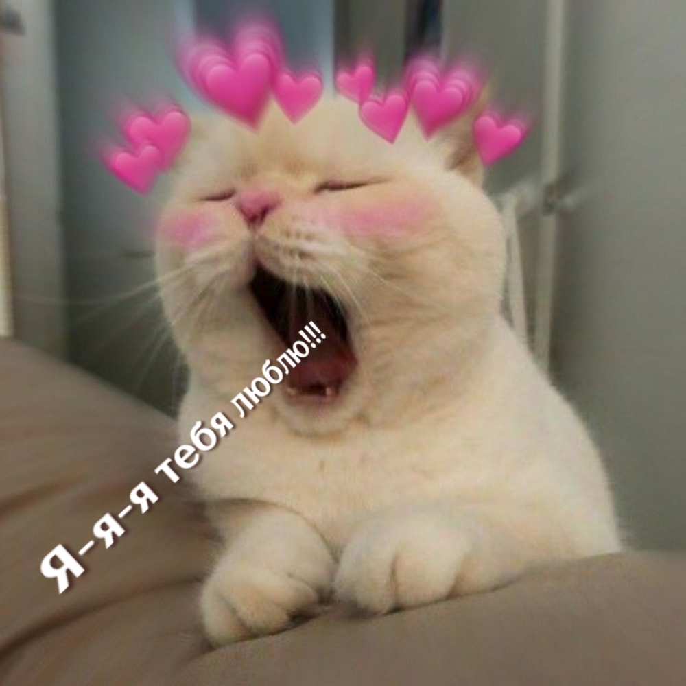 Я-я-я тебя люблю!