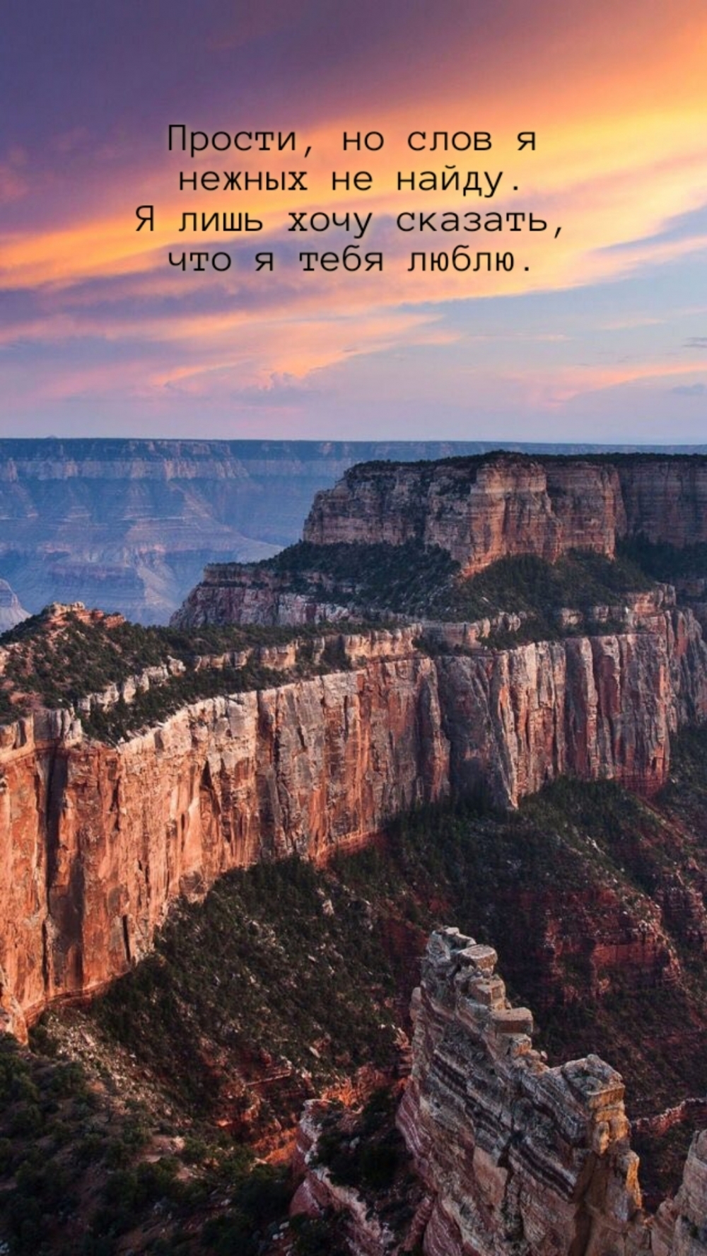 Я лишь хочу сказать, что я тебя люблю.