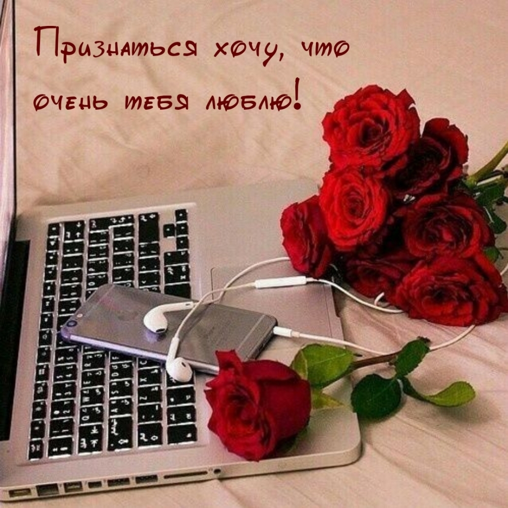 Признаться хочу, что очень тебя люблю!