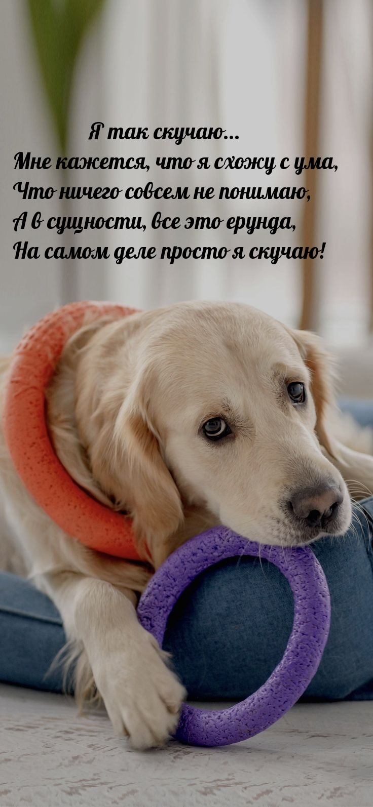 Я так скучаю… Мне кажется, что я схожу с ума
