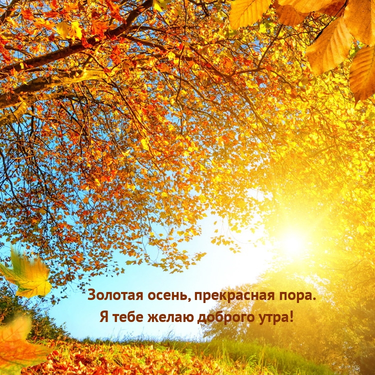 Золотая осень, прекрасная пора. Я тебе желаю доброго утра!
