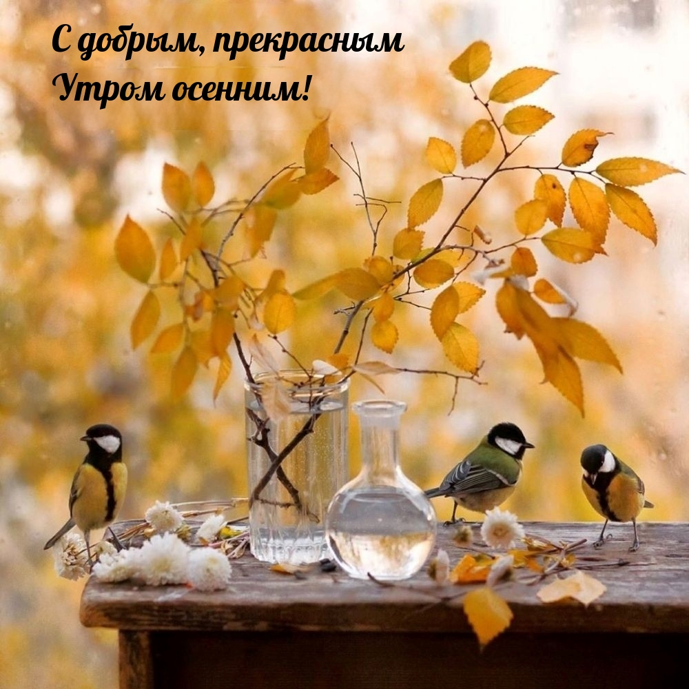 С добрым, прекрасным утром осенним!