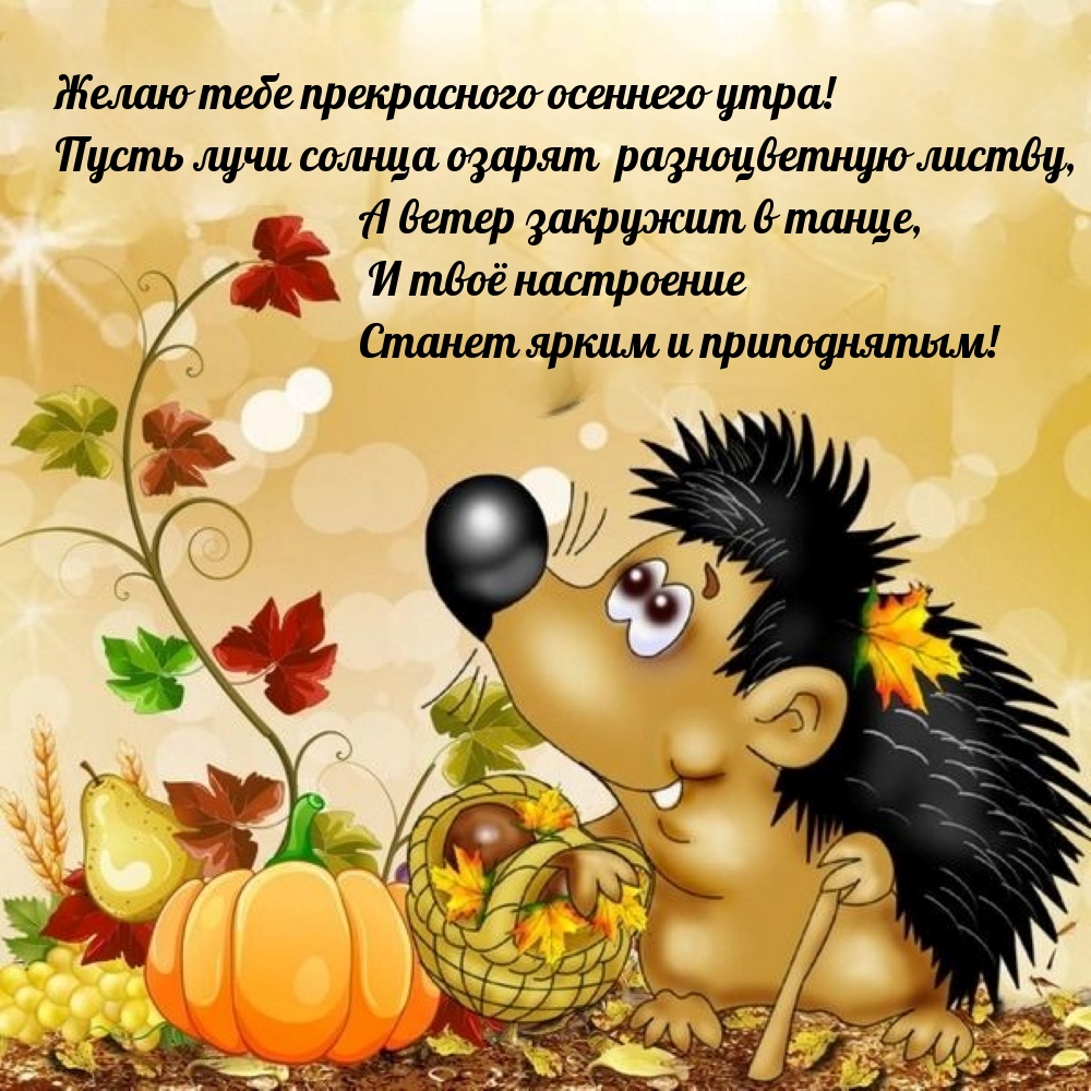 Желаю тебе прекрасного осеннего утра!