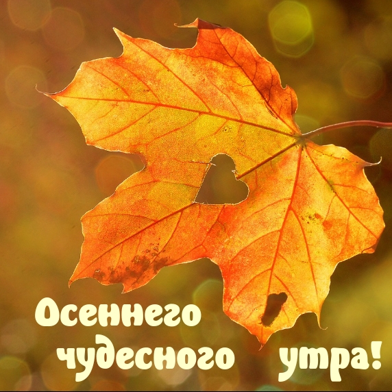 Осеннего чудесного утра!