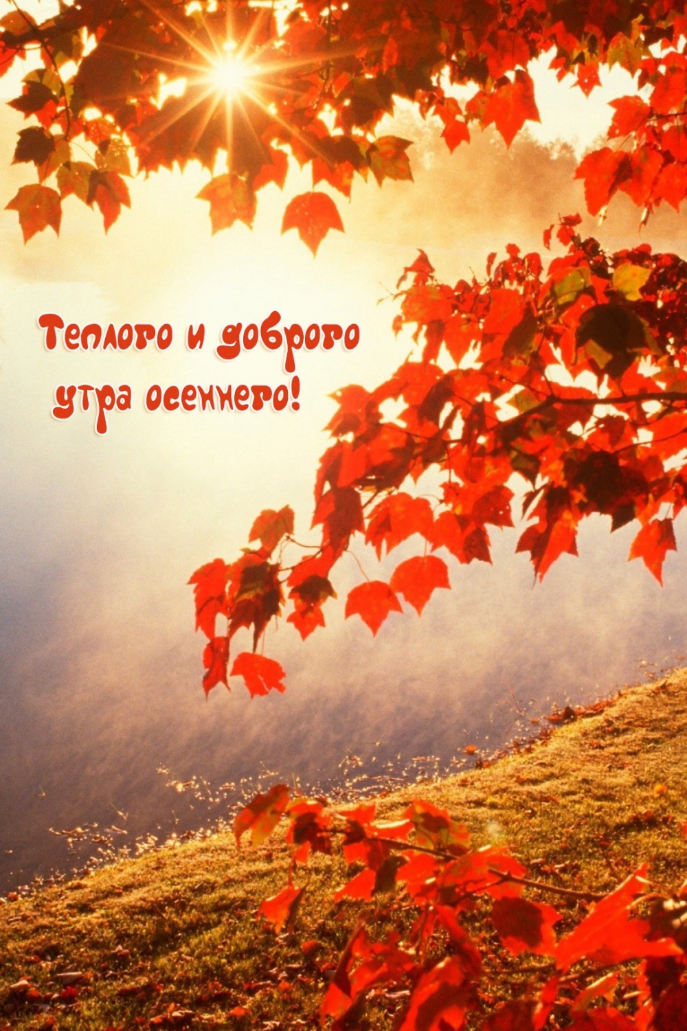 Теплого и доброго утра осеннего!