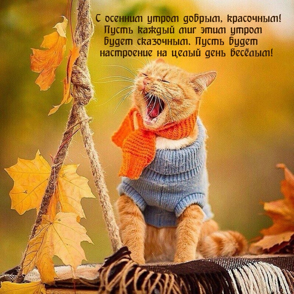 С осенним утром добрым, красочным!