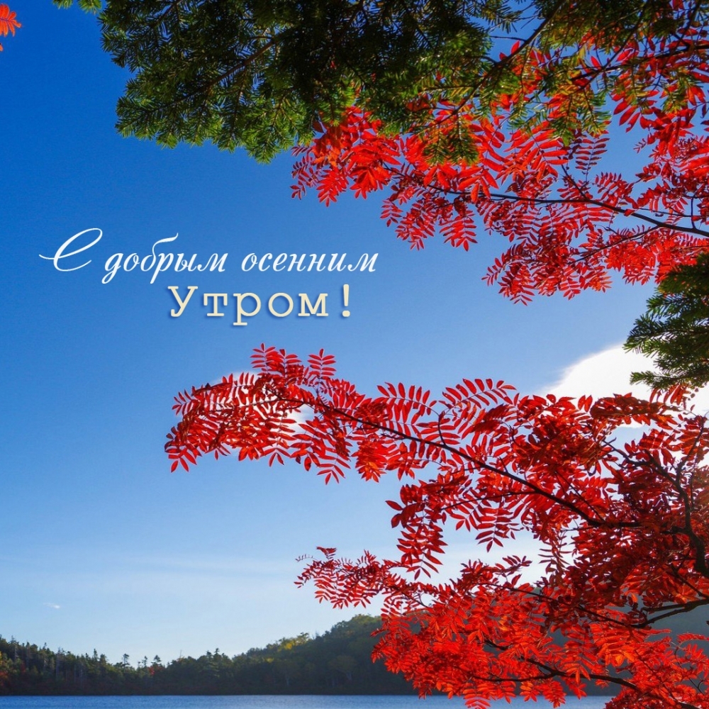 С добрым осенним утром!