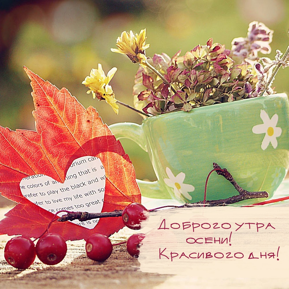 Доброго утра осени! Красивого дня!
