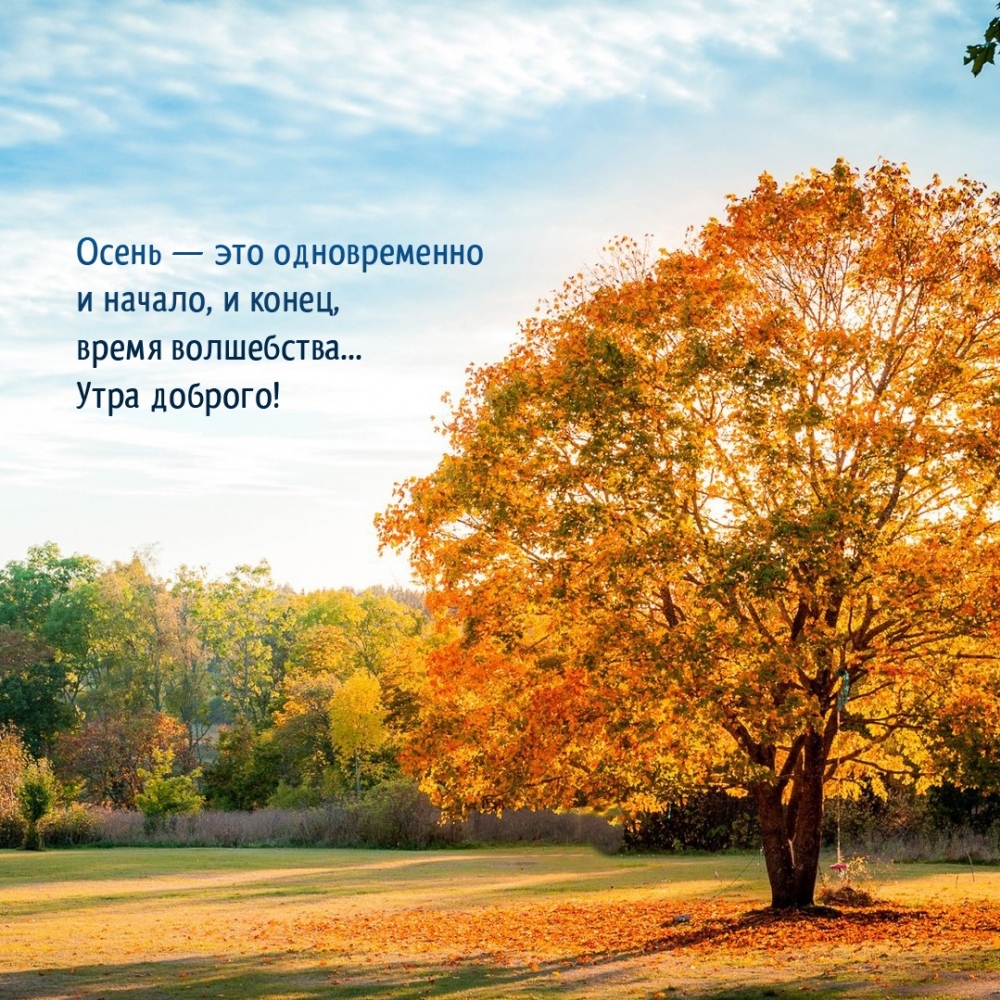 Осень — это одновременно и начало, и конец, время волшебства…