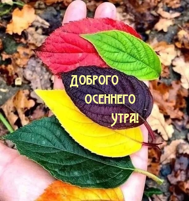Доброго осеннего утра!