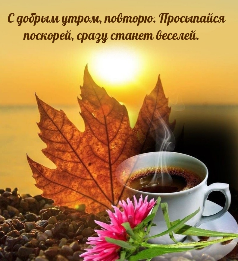С добрым утром, повторю. Просыпайся поскорей
