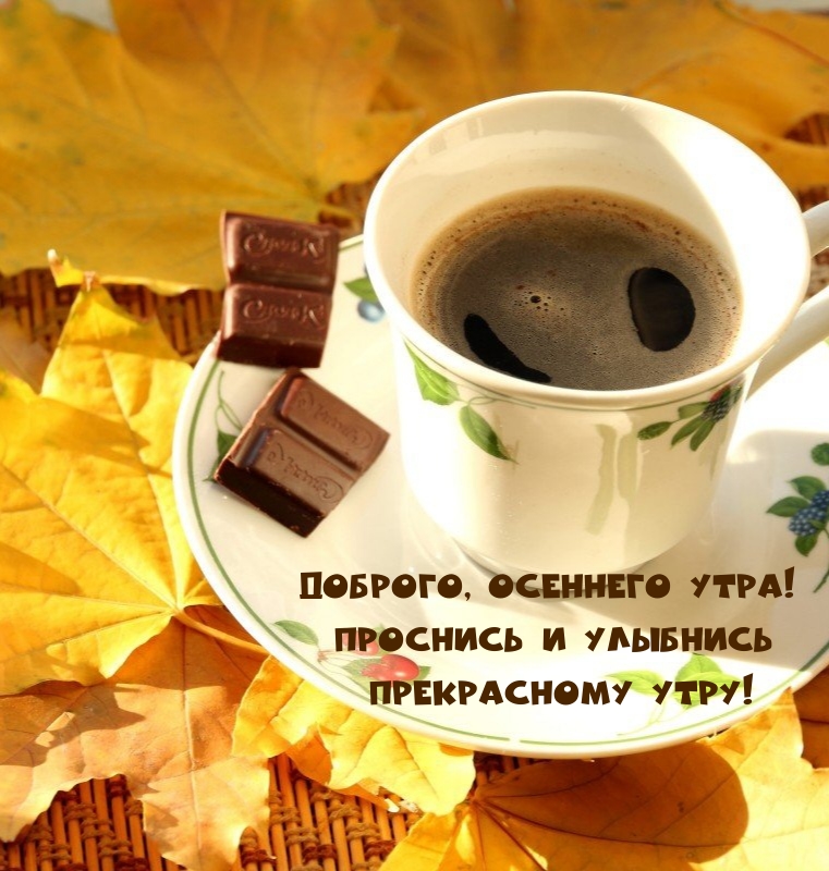 Доброго, осеннего утра! Проснись и улыбнись прекрасному утру!