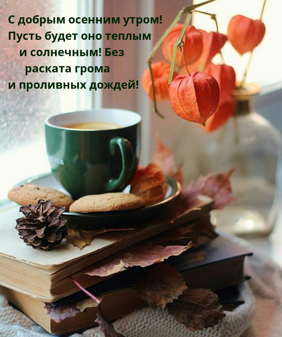 С добрым осенним утром! Пусть будет оно теплым и солнечным!