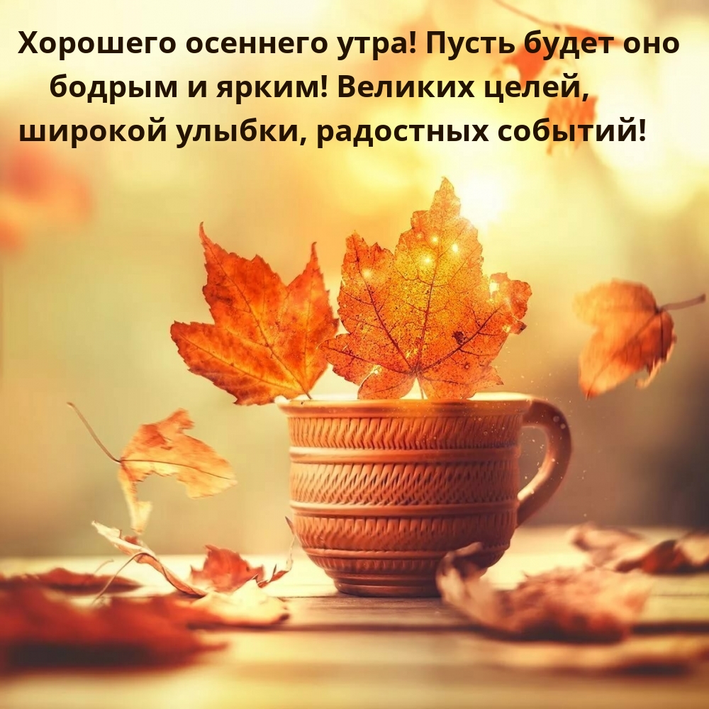 Хорошего осеннего утра! Пусть будет оно бодрым и ярким!