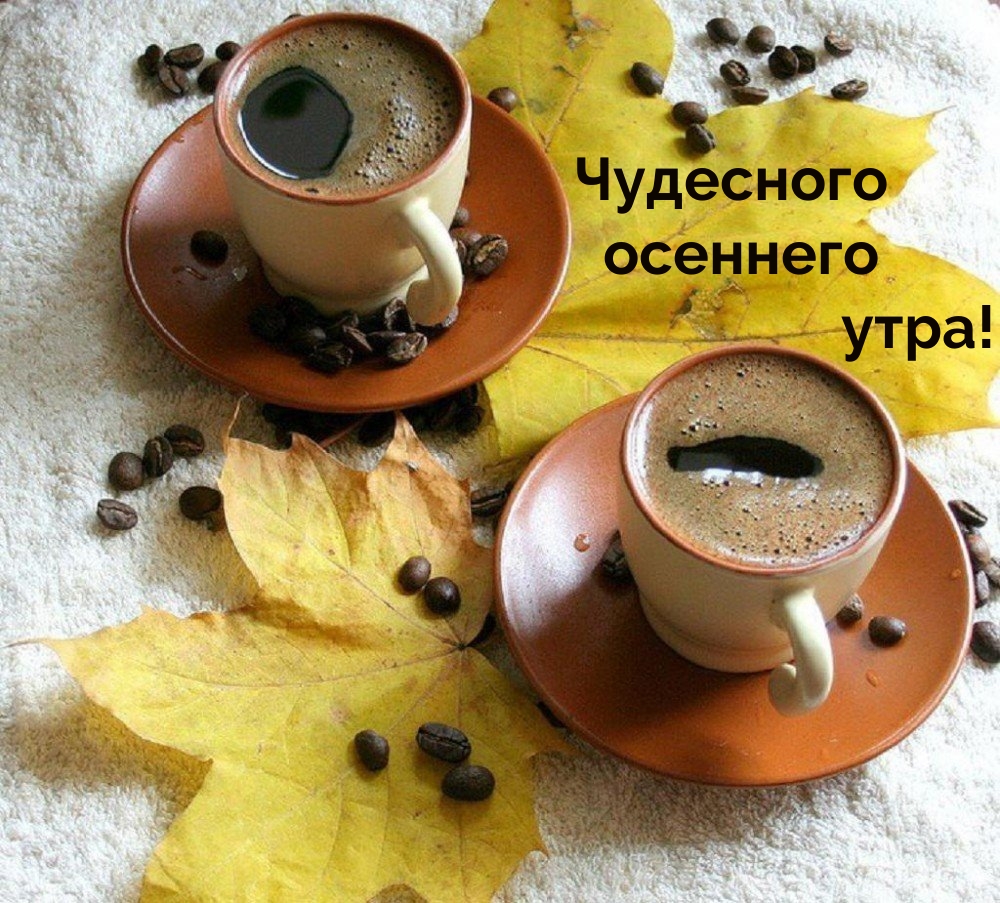 Чудесного осеннего утра!