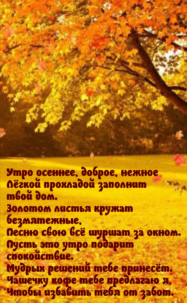 Утро осеннее, доброе, нежное лёгкой прохладой заполнит твой дом.