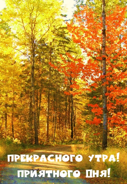 Прекрасного утра! Приятного дня!