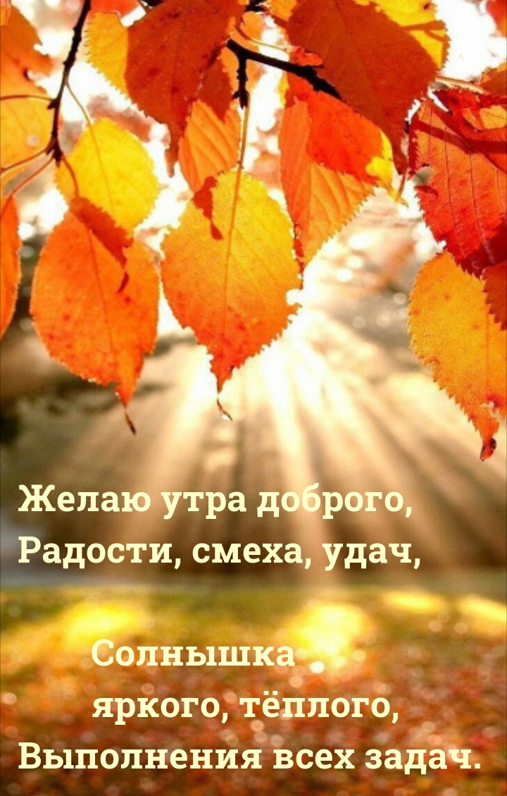 Желаю утра доброго, радости, смеха, удач, солнышка яркого