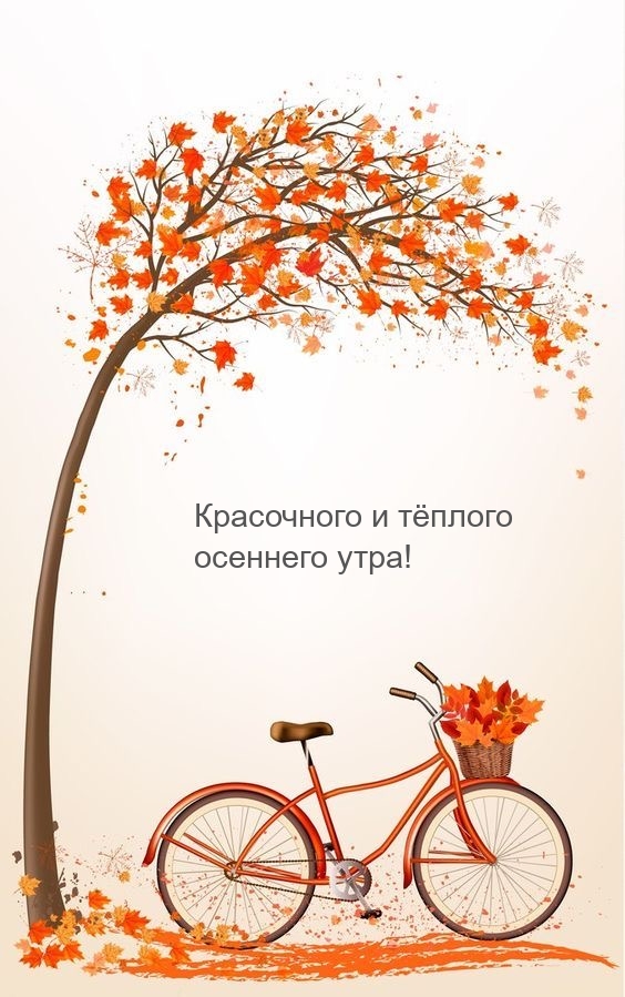 Красочного и тёплого осеннего утра!