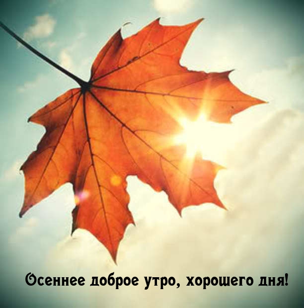 Осеннее доброе утро, хорошего дня!