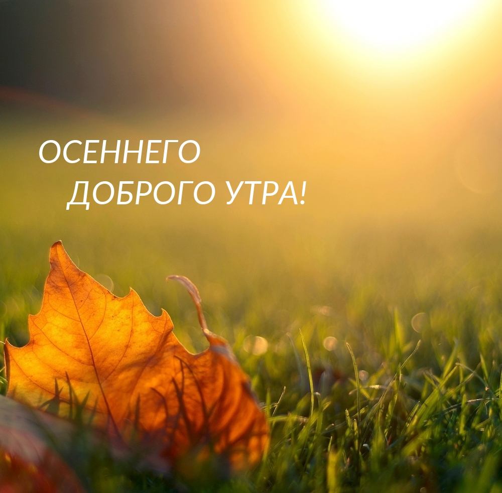 Осеннего доброго утра!