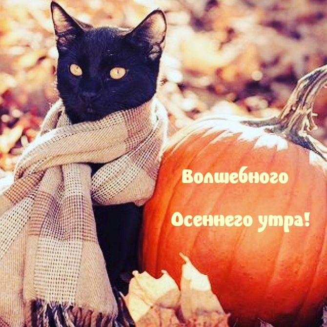 Волшебного Осеннего утра!