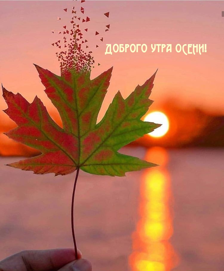 Доброго утра осени!