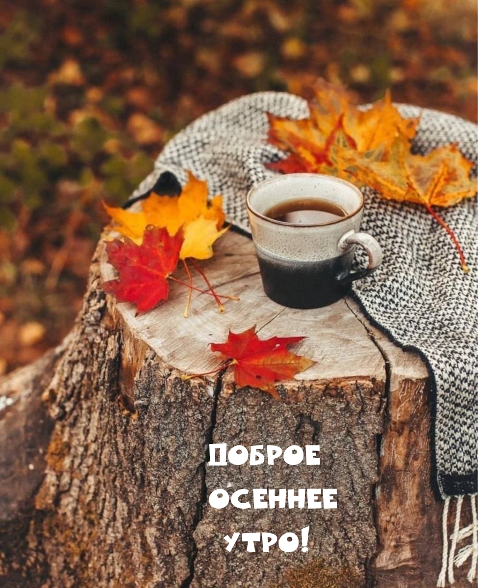 Доброе осеннее утро!