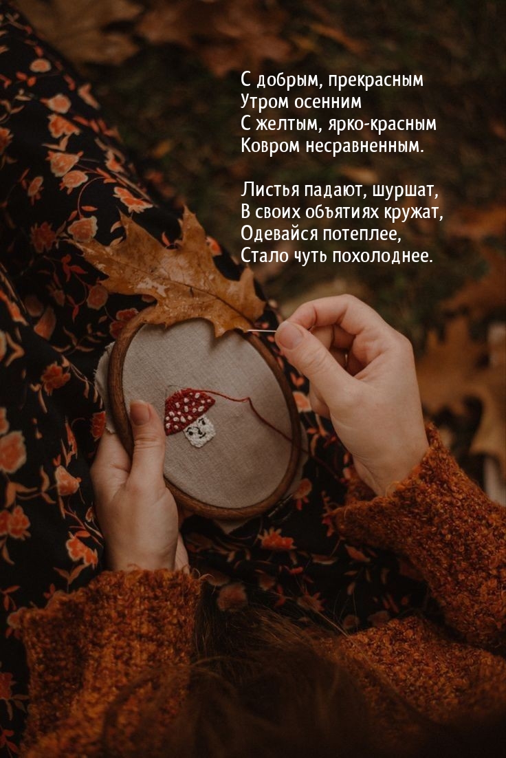 С добрым, прекрасным утром осенним с желтым, ярко-красным