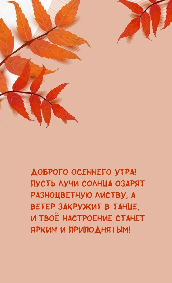 Доброго осеннего утра! Пусть лучи солнца озарят листву