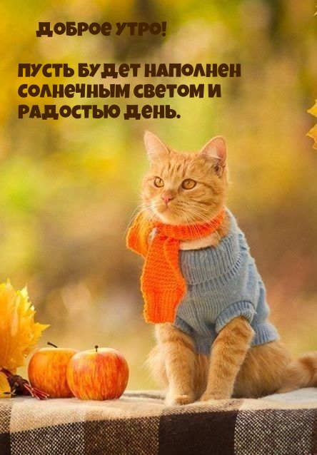 Доброе утро! Пусть будет наполнен солнечным светом