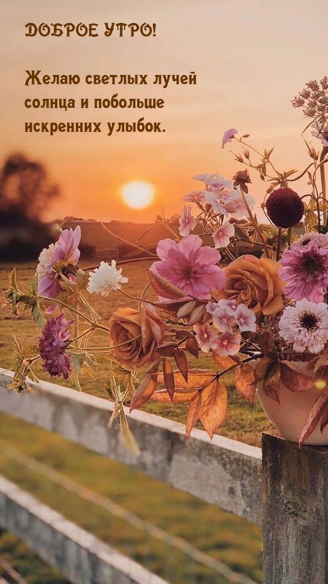 Доброе утро! Желаю светлых лучей  солнца и побольше улыбок