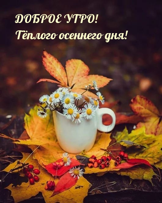 Доброе утро! Тёплого осеннего дня!