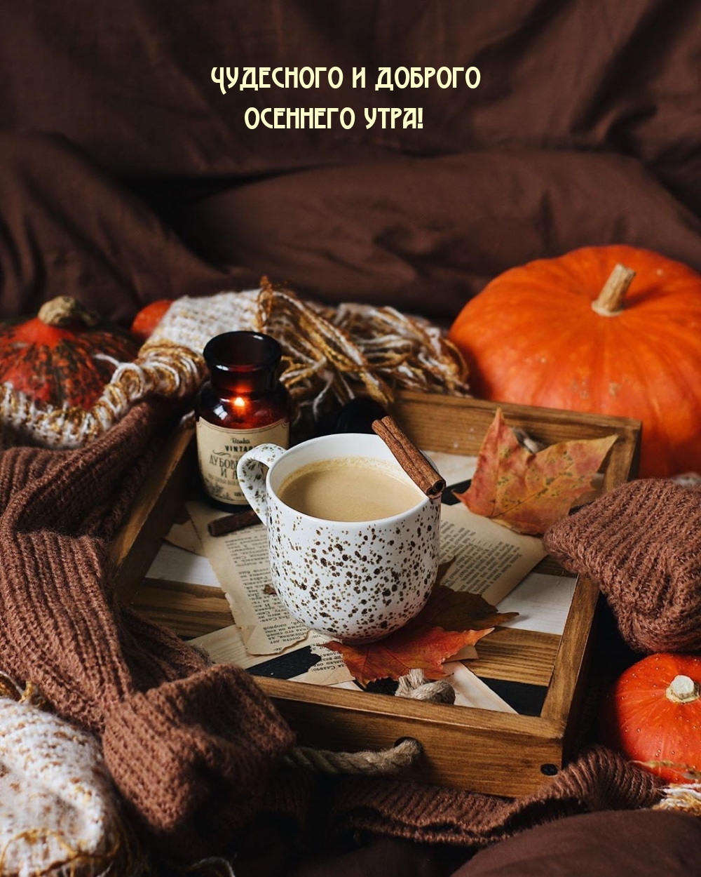 Чудесного и доброго осеннего утра!