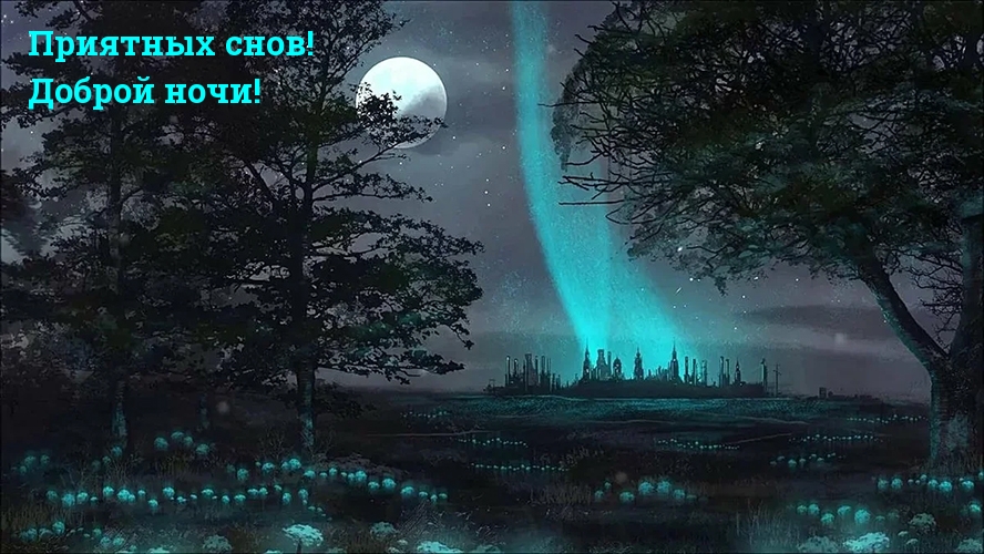 Приятных снов! Доброй ночи!