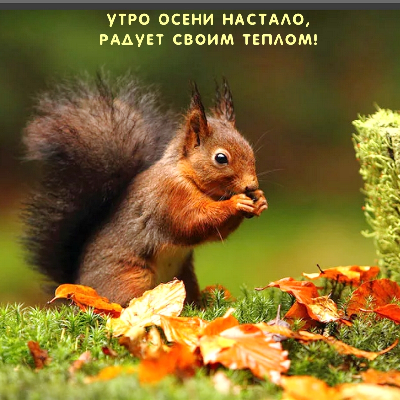Утро осени настало, Радует своим теплом!