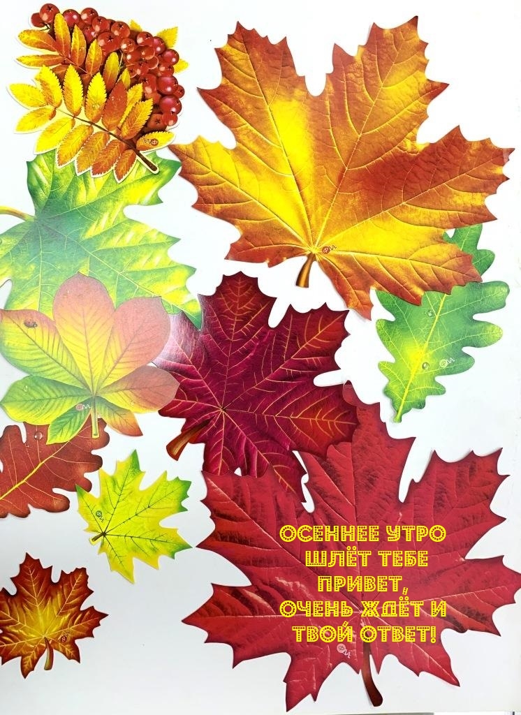 Осеннее утро шлёт тебе привет, очень ждёт и твой ответ!