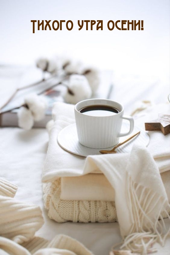 Тихого утра осени!