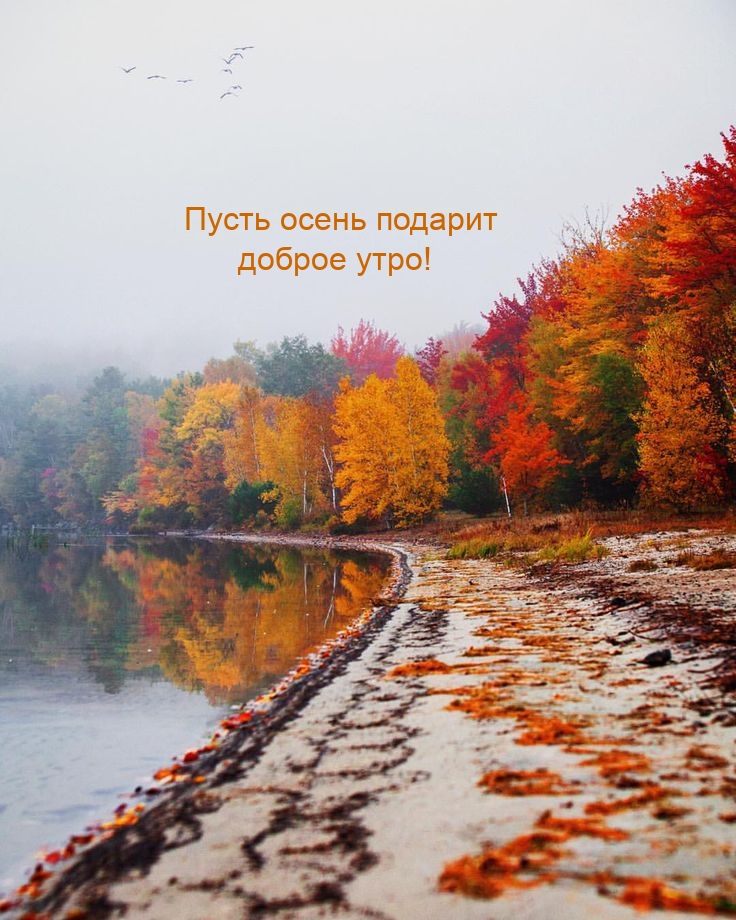 Пусть осень подарит доброе утро!