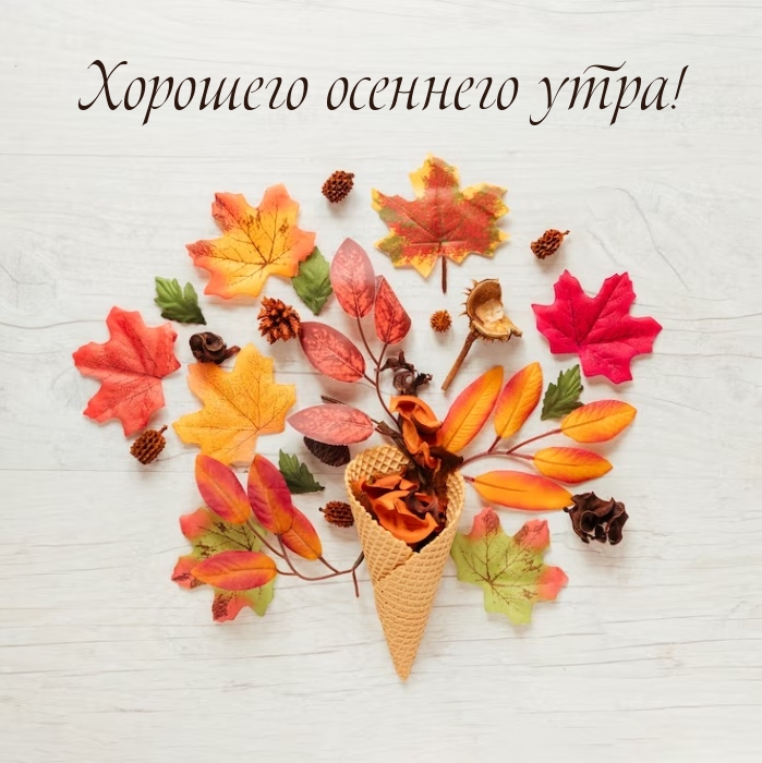 Хорошего осеннего утра!