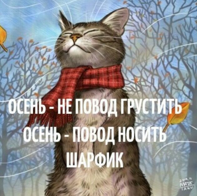Осень — не повод грустить