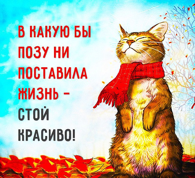 В какую бы позу ни поставила жизнь — стой красиво!